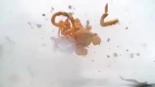 Arby's Fries Exploding
