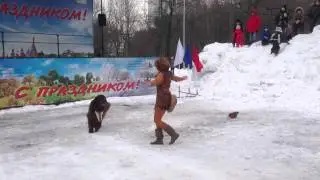 Танцующий ньюф Миха. Танец лисы Алисы и кота Базилио