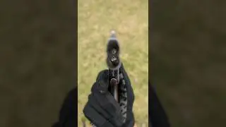 Sauer Bär • Thinnest Pistol I Own • Over 110 Years Old