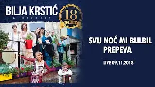 Bilja Krstić i Bistrik Orkestar - Svu Noć Mi Bilbil Prepeva (18 Godina)