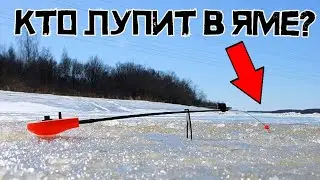 ГОРОДСКАЯ ЯМА УДИВИТ?! Кто ЛУПИТ кивок на ГЛУБИНЕ?! Зимняя рыбалка 2024