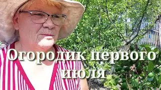 1 июля 2023 г.