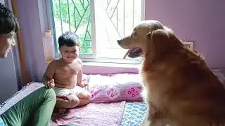 নতুন এক জগতে ভাই বোনের সকাল শুরু ।