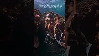 FREEDIVING IS MORE FUN IN THE PHILIPPINES -Free Diving Buddy!  🤩 #shorts #freediving #philippines