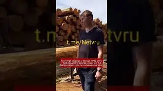 Почему на экспорт идёт лес? Почему почти нет переработки древесины в России? Ответ Есть!