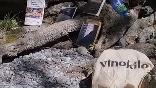 Parc de la Schappe, mardi 9 juillet 2024
