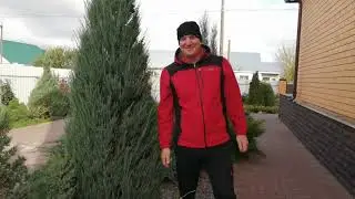 ХВОЙНАЯ КОЛЛЕКЦИЯ 2023. 3 серия.