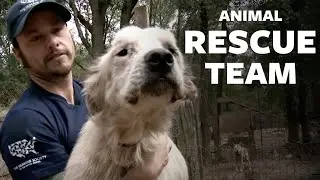 HSUS: Animal Rescue Team