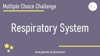 GCSE PE: Multiple Choice Challenge - Breathing In