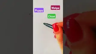 Cute puppy How to draw Easy drawing #drawing #howtodraw #puppy