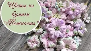 Цветы 