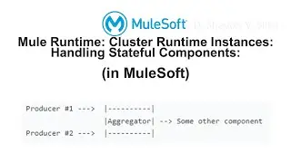 Mule Runtime: Cluster Runtime Instances: Handling Stateful Components:  (in MuleSoft)