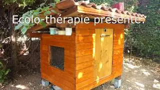 fabriquer soi-même une cabane pour canards coureurs indiens: facile et joli!