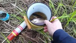 Май Июнь Итог Рыбалки