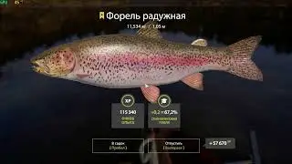 Трофей Форель Радужная, Куори