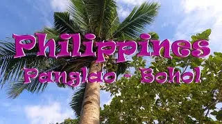 Philippines | Panglao | Bohol | 4K
