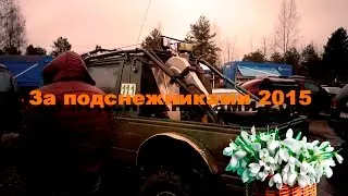 За подснежниками 2015 (Гродно)