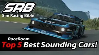 Our Top 5 Best Sounding Cars in RaceRoom Racing Experience!