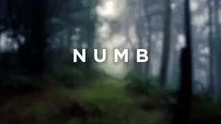 Aaron Richards & Essenger - Numb [Linkin Park Cover] (Official Lyric Video)