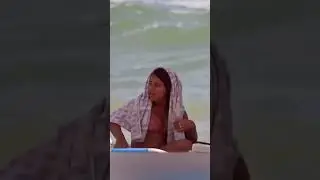 broma del pepino en la playa