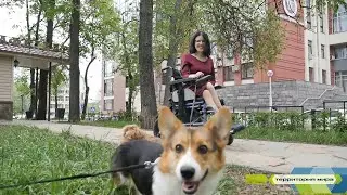 Доступная среда. "Урок доброты"