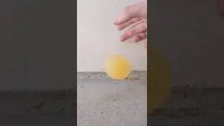 Bouncy Egg