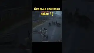 Собаки.  Stay out.