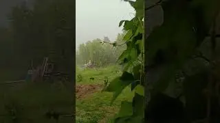 Дождались дождика☔ Сильный ветер. В соседнем районе был с градом, а нас обошло🙏🙏🙏