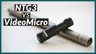 $600 vs $60 Mic | Rode NTG3 vs Rode VideoMicro | The Film Look