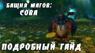 Башня магов: гайд по испытанию совы