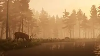3D Environment - Unreal Engine 5