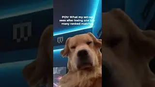 Use a glass desk for gaming at your own discretion🫣 #meme #pcgaming #gamingpc #maingear #mg #dog