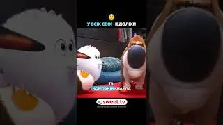 Вуйко діло каже #гумор #смішно #прикол #sweettv