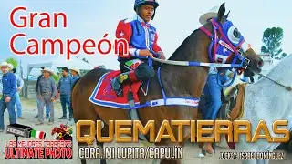 16.-Gran Final Abierto en 150 varas (EL QUEMATIERRAS)