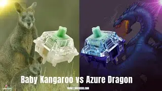Gateron GoPolar Azure Dragon V2 vs Gateron Baby Kangaroo | Tactile Switches | Who Wins?
