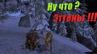 Славный варг ищет приключений на свой хвост| Lotro Ettenmoors
