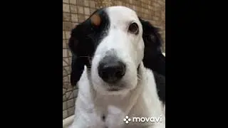когда то они выживали на улице