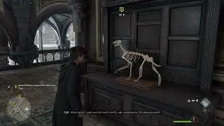 Who’s a good doggy Hogwarts legacy