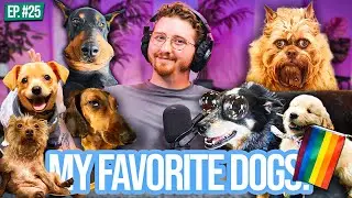 My Favorite Dogs for National Dog Day!