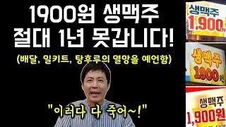 1900원 생맥주집이 결국 망할 수 밖에 없는 이유 (프랜차이즈 창업)