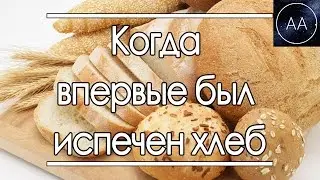 Когда впервые был испечен хлеб | All About