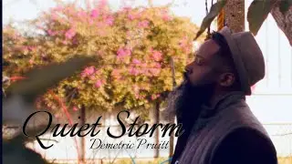 Demetric Pruitt (Quiet storm)