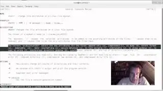 Linux intro for developers