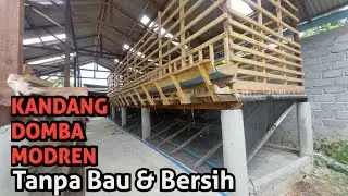 KANDANG DOMBA MODREN TERKOLEKSI, KANDANG KAMBING TANPA BAU