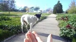 DSCN6724