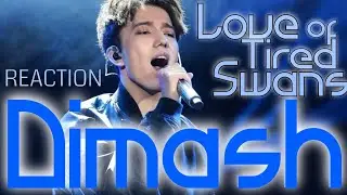 DIMASH - LOVE OF TIRED SWANS