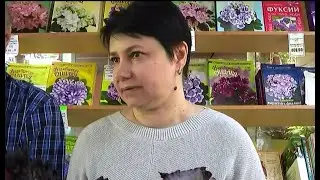 ДФ.Съезд селекционеров: Светлана Гордиенко, бегонии(май 2023)