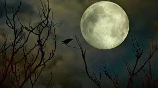 ‼️Коварные планы врага на Полнолуние🌕‼️