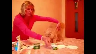 Кошка Маруся выбирает симбионты Кутушова !