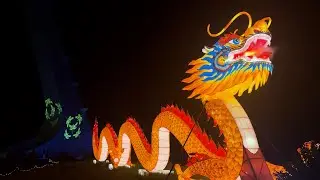Glowing Wild